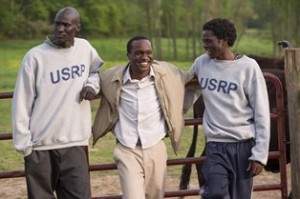 Jeremiah, Mamere, and Paul visit the cows. (From The Good Lie Movie)